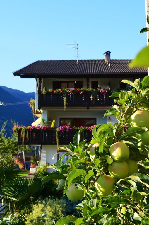 Zimmervermietung Groeberhof Scena Exterior foto